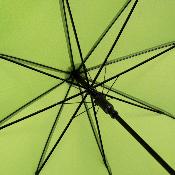 Parapluie standard