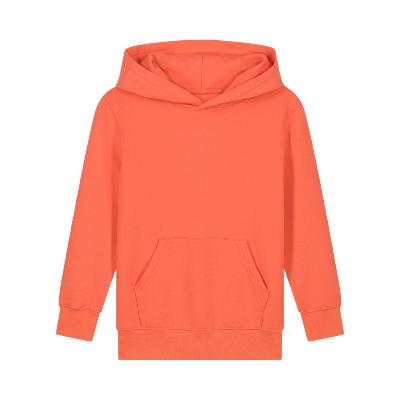 Sweat à capuche pour enfants - Unisexe - 300g