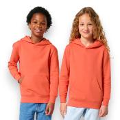 Sweat à capuche pour enfants - Unisexe - 300g